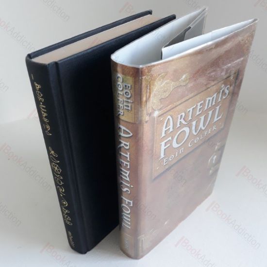 Picture of Artemis Fowl