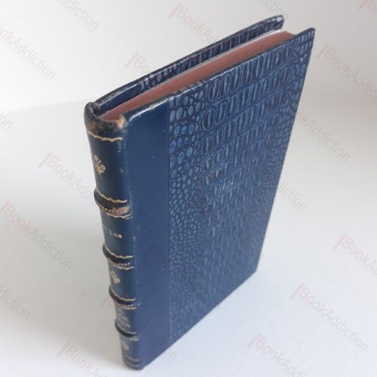 Picture of The Brave Bulls