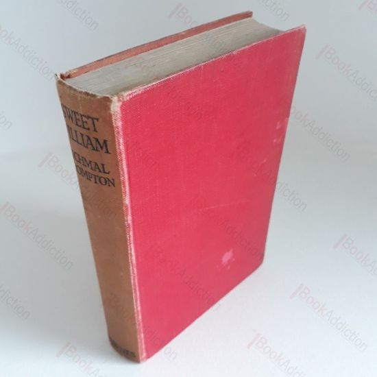 Picture of Sweet William (Just William)