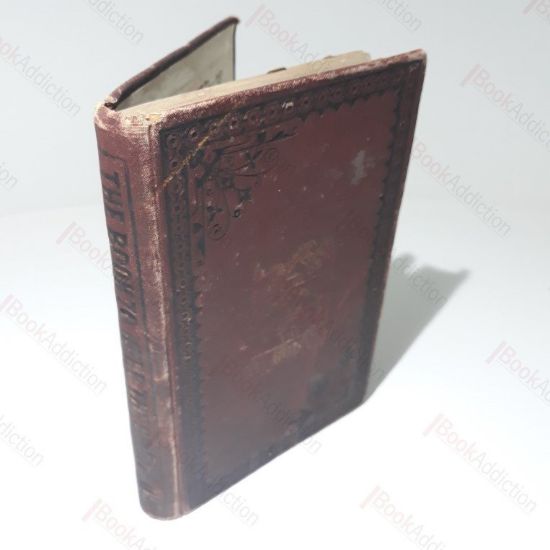 Picture of The Book to Keep the Spirits Up in Dull and Gloomy Hours, Comprising Manifestations of Fun etc