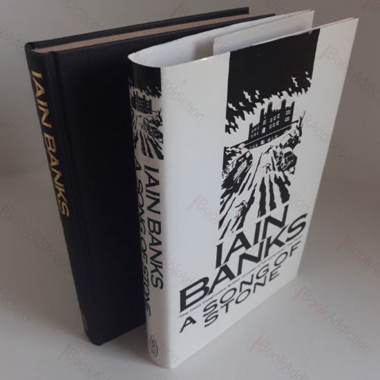 Picture of The Song of Stone