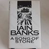 Picture of The Song of Stone