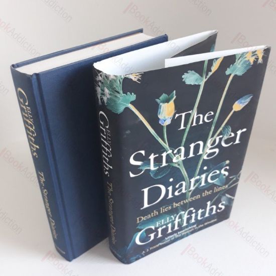 Picture of The Stranger Diaries