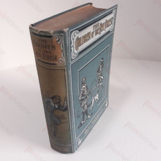 Picture of Children of the New Forest