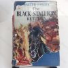Picture of The Black Stallion Returns