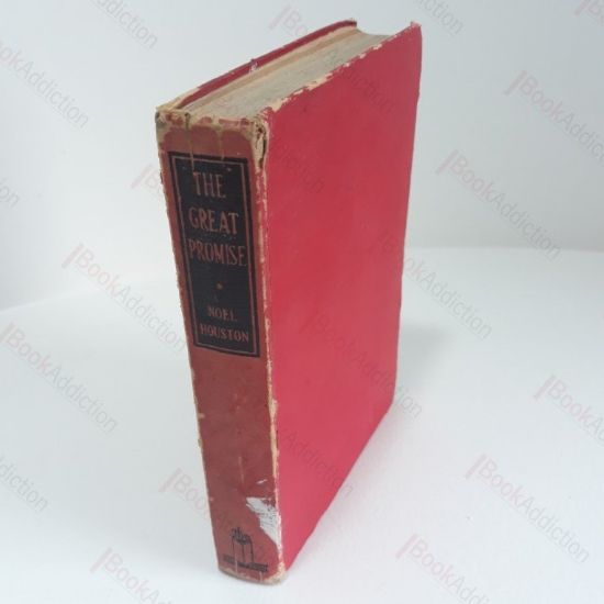 Picture of The Great Promise