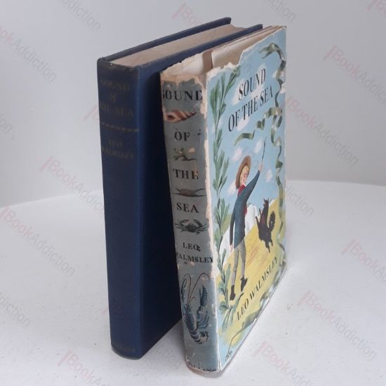 Picture of Sound of the Sea