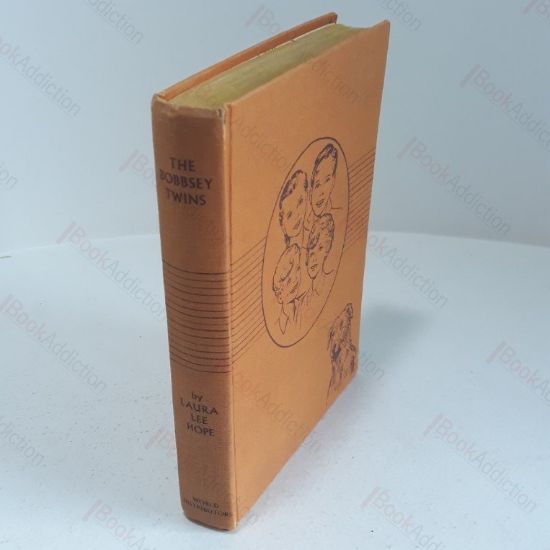 Picture of The Bobbsey Twins