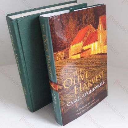 Picture of The Olive Harvest : A Memoir of Love, Old Trees and Olive Oil