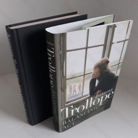 Picture of Balancing Act