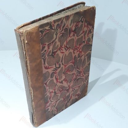 Picture of Irene Iddlesleigh