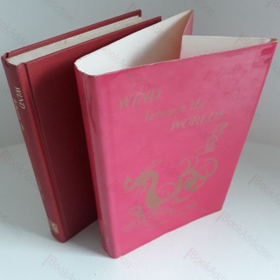 Picture of Wind Between the Worlds