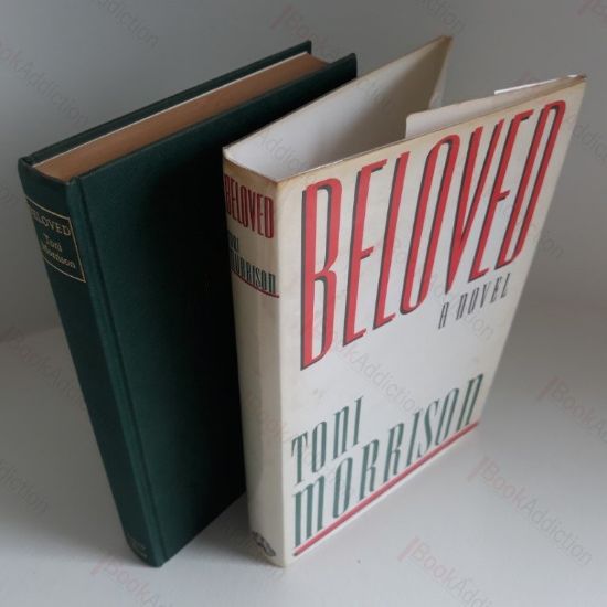 Picture of Beloved : A novel