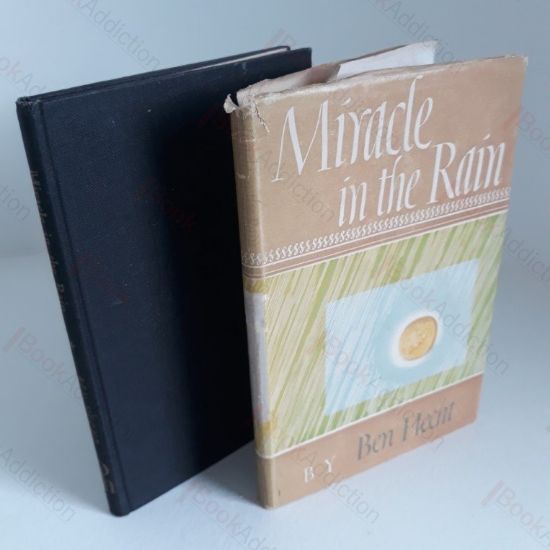 Picture of Miracle in the Rain