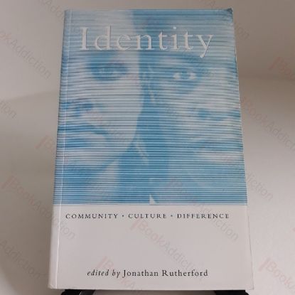 Picture of Identity : Community, Culture and Difference