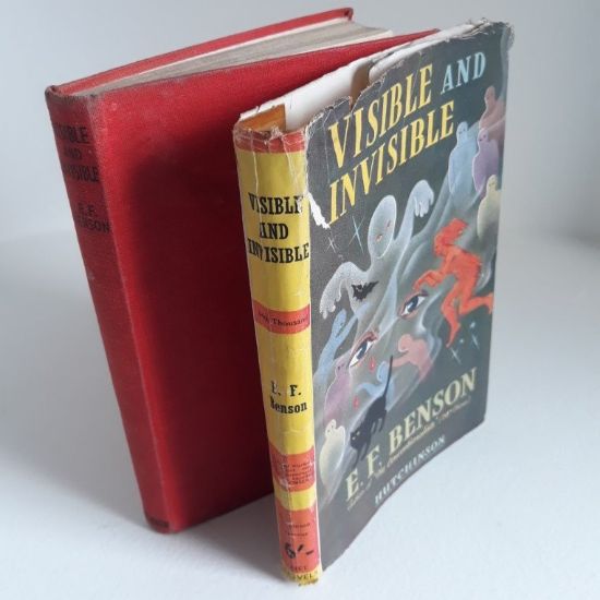 Picture of Visible and Invisible