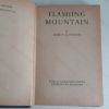 Picture of Flashing Mountain