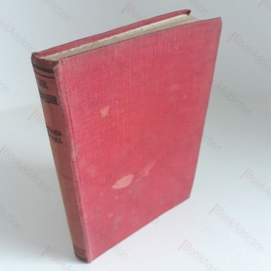 Picture of The Professor