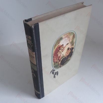 Picture of The Jungle Book (Illustrated Junior Library)