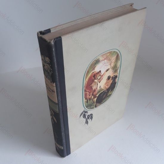 Picture of The Jungle Book (Illustrated Junior Library)