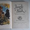 Picture of The Jungle Book (Illustrated Junior Library)