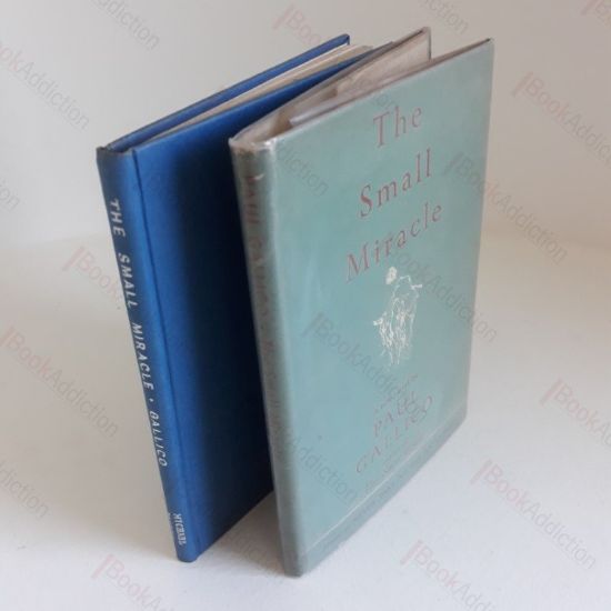 Picture of The Small Miracle