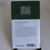 Picture of The Heat of the Sun and Other Stories (Great Irish Writers, No.19)