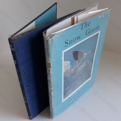 Picture of The Snow Goose