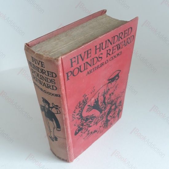 Picture of Five Hundred Pounds Reward