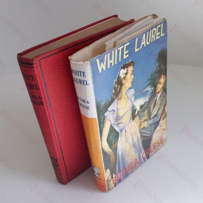 Picture of White Laurel