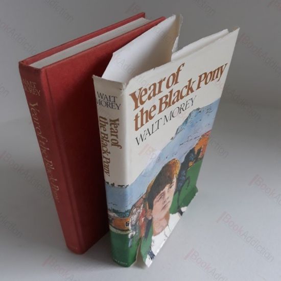 Picture of Year of the Black Pony