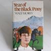 Picture of Year of the Black Pony