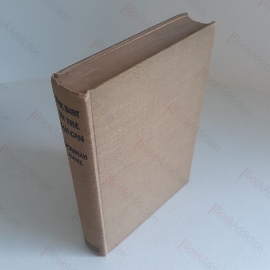 Picture of The Baby in the Ash Can