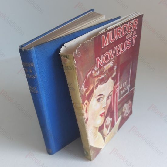 Picture of Murder of a Novelist