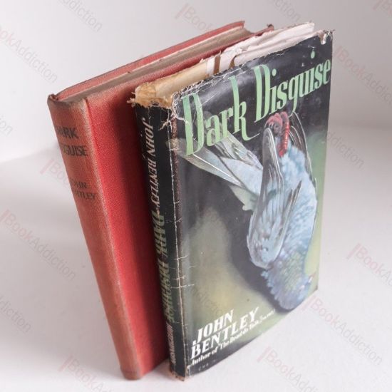 Picture of Dark Disguise