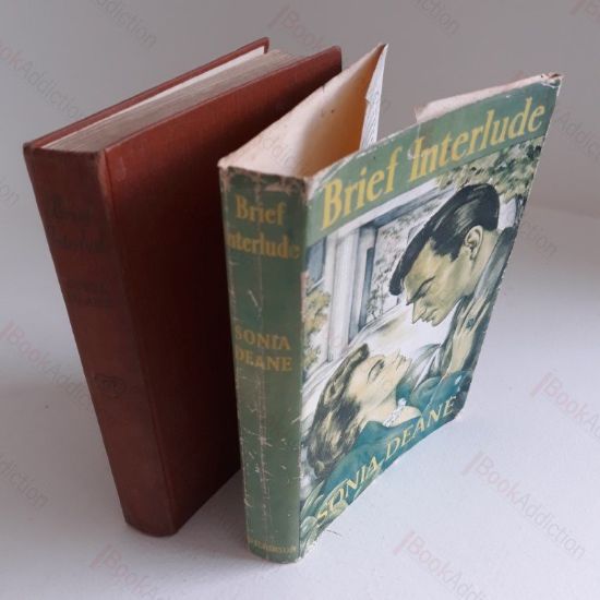 Picture of Brief Interlude