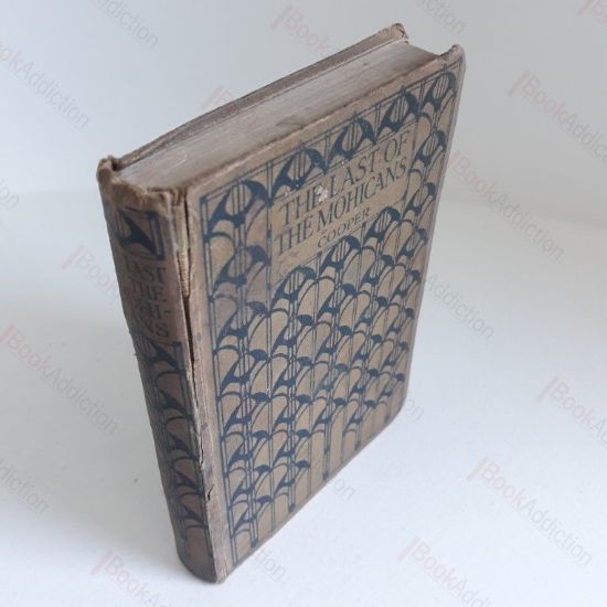 Picture of The Last of the Mohicans