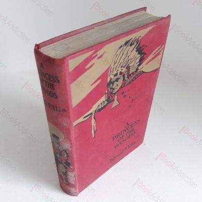 Picture of A Princess of the Woods, Or the Story of Pocahontas and Captain John Smith