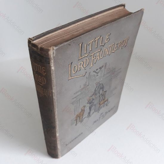 Picture of Little Lord Fauntleroy