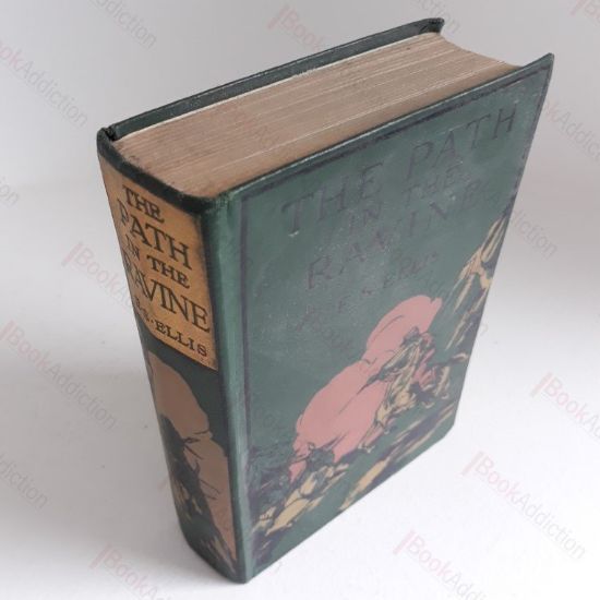 Picture of The Path in the Ravine