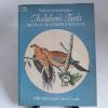 Picture of Audubon's Birds Iron-on Transfer Patterns