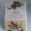 Picture of Audubon's Birds Iron-on Transfer Patterns