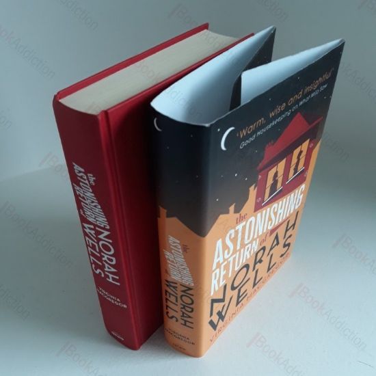 Picture of The Astonishing Return of Norah Wells