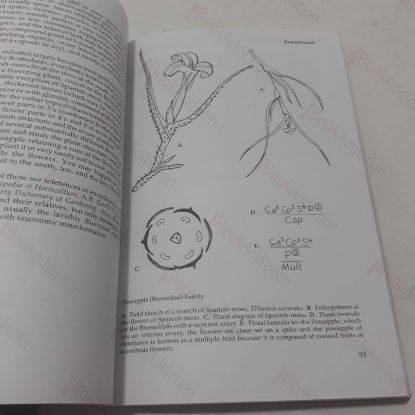 Picture of Dimanche and Other Stories