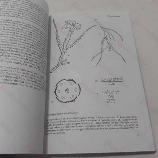 Picture of The Complete Vitamin Cook Book