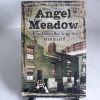 Picture of Angel Meadow : Victorian Britain's Most Savage Slum