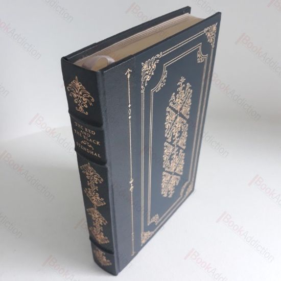 Picture of The Red and the Black