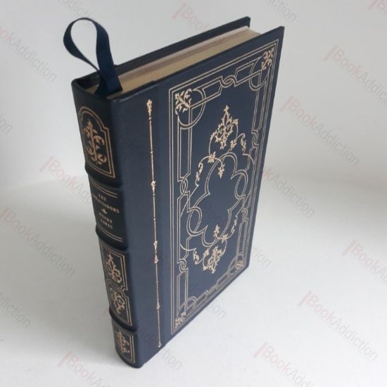 Picture of The Ambassadors