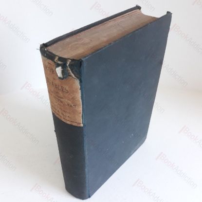 Picture of Horses and Stables