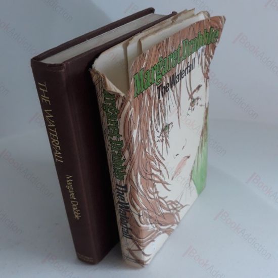 Picture of The Waterfall